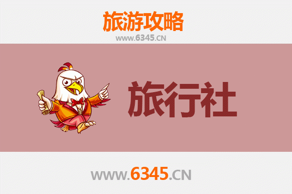 阿里噶尔本地旅行社推荐：探索西藏秘境的专业指南