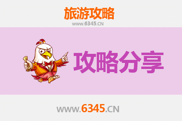 阿里噶尔旅游攻略：跟团与自由行深度对比